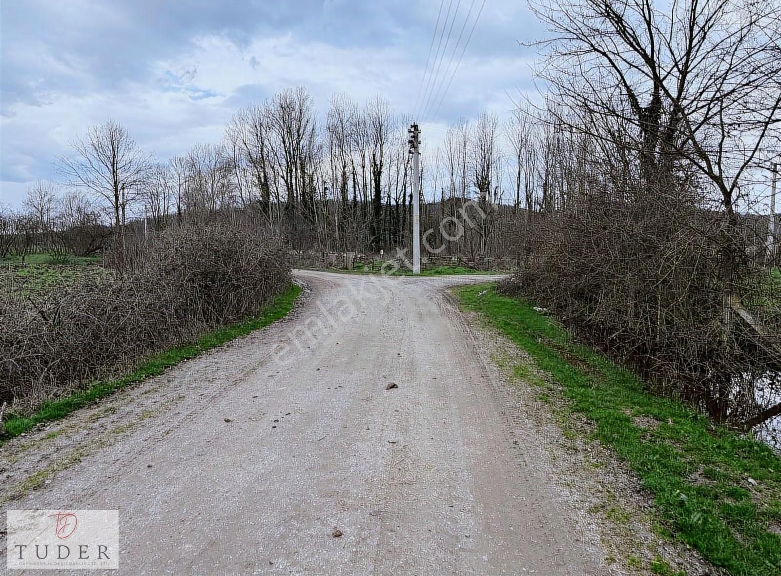 Hendek' Te Yola Cepheli, Düz Ve Verimli 2310 M2 Tarla - Görsel 8