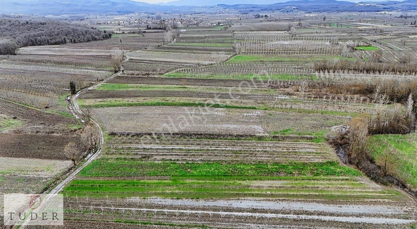 Hendek' Te Yola Cepheli, Düz Ve Verimli 2310 M2 Tarla - Görsel 2