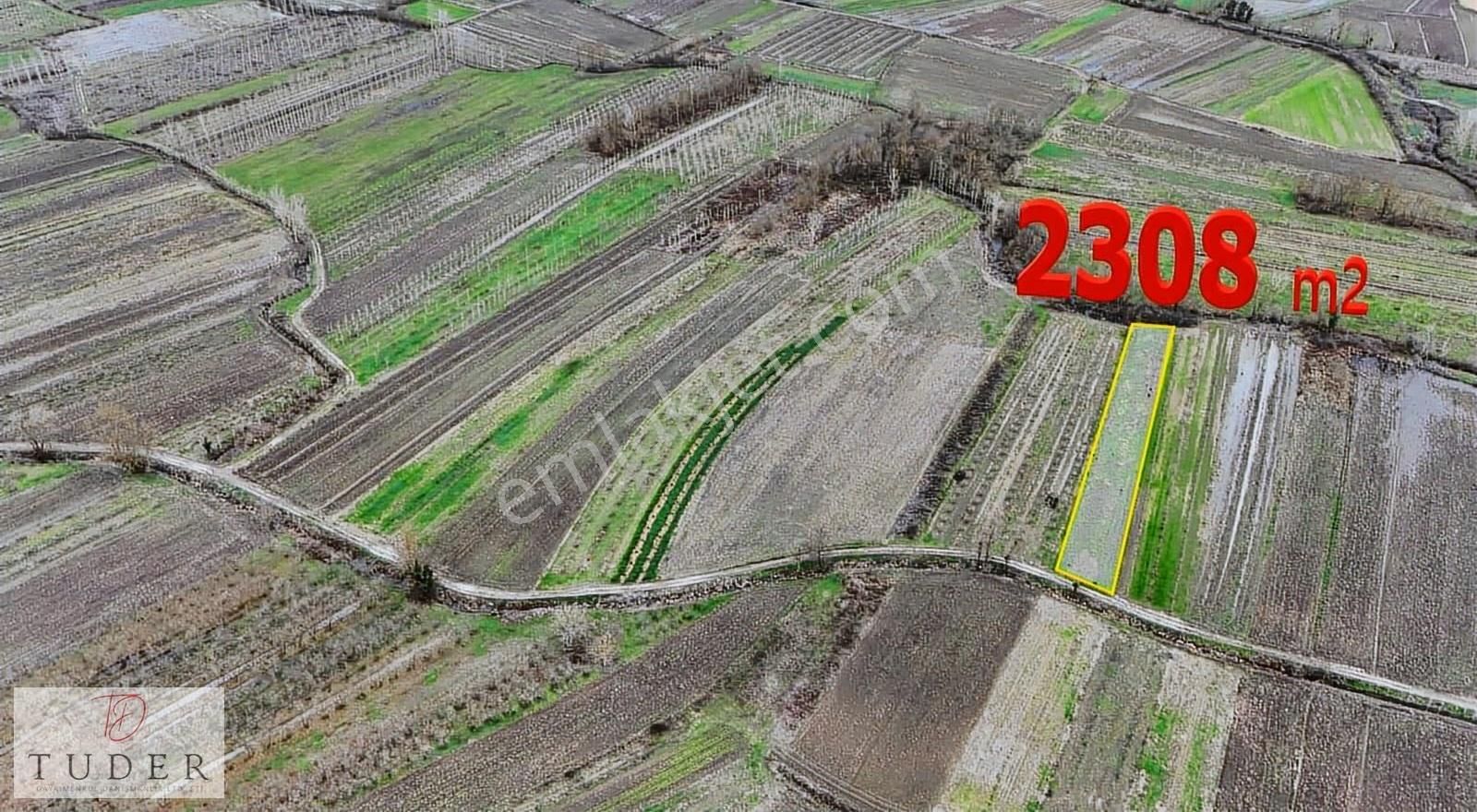 Hendek' Te Yola Cepheli, Düz Ve Verimli 2310 M2 Tarla - Görsel 10
