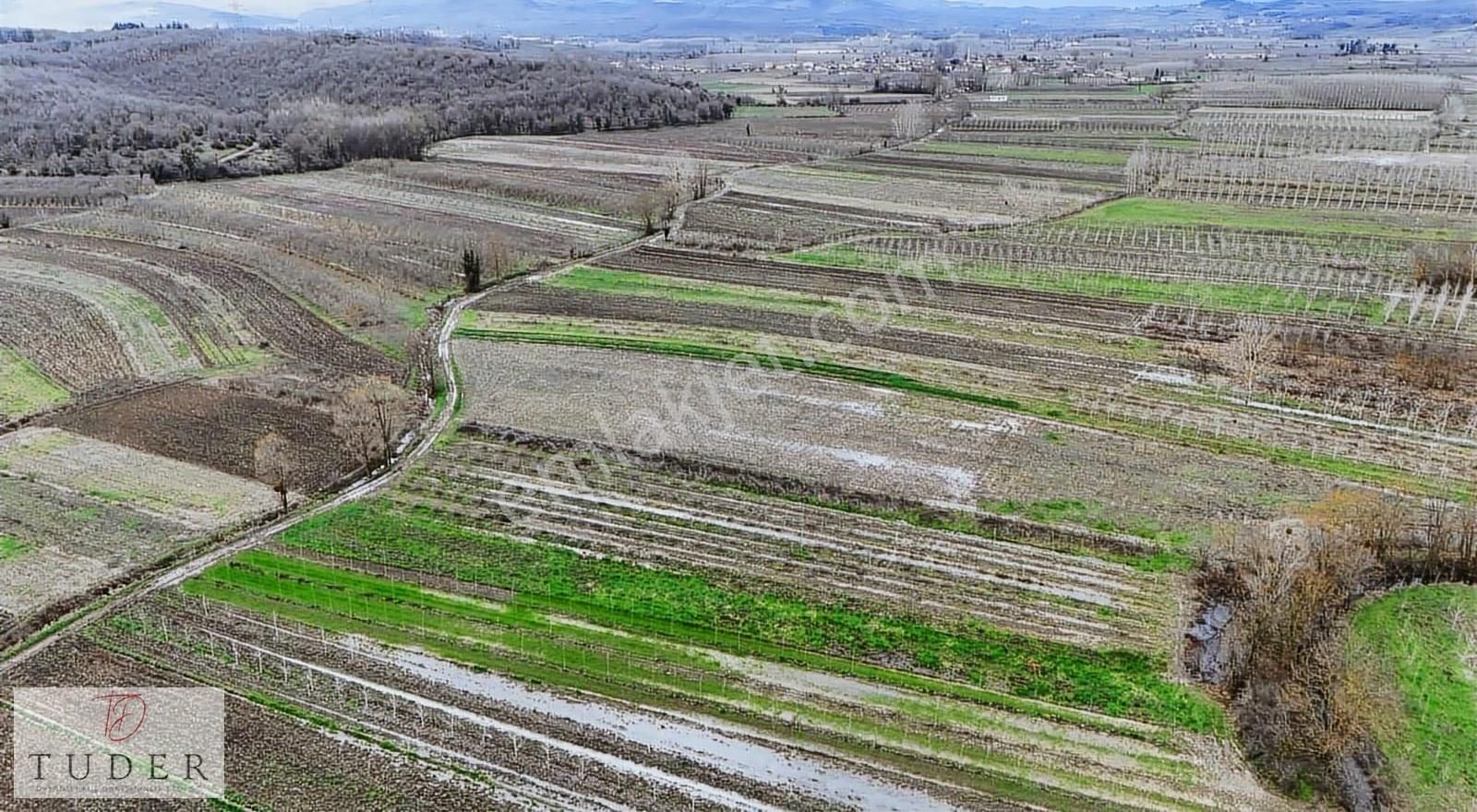 Hendek' Te Yola Cepheli, Düz Ve Verimli 2310 M2 Tarla - Görsel 7