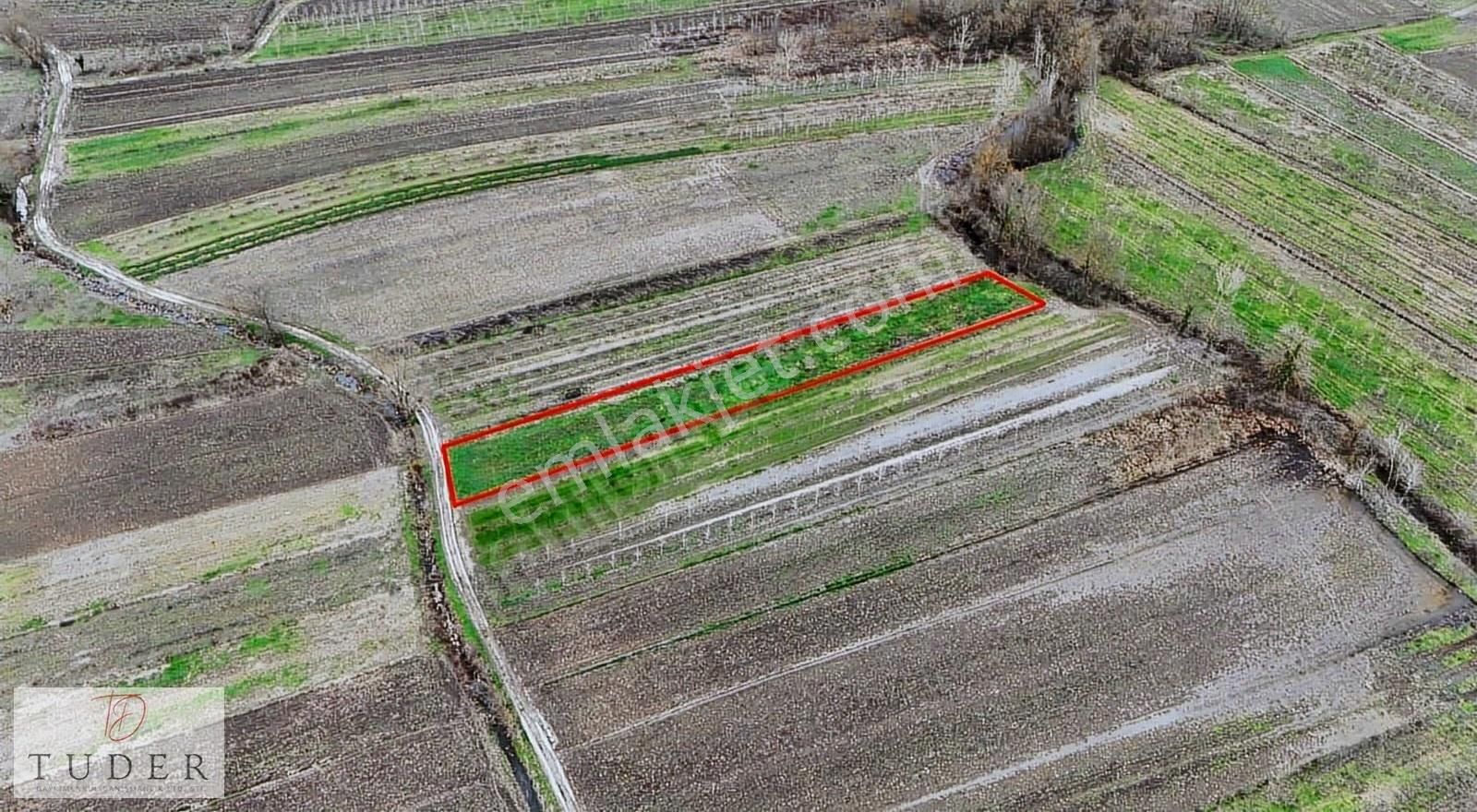 Hendek' Te Yola Cepheli, Düz Ve Verimli 2310 M2 Tarla