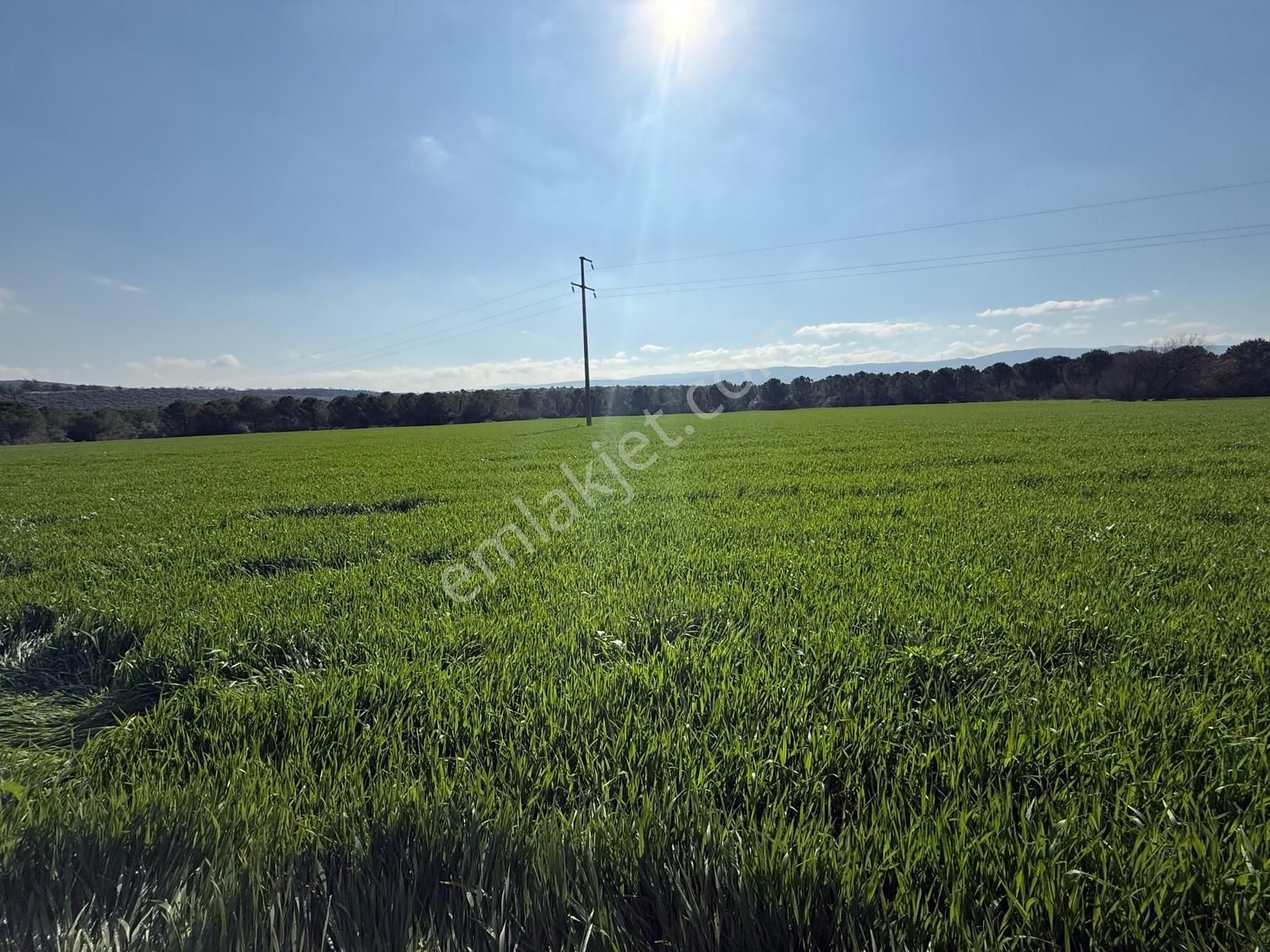 Expert'ten Bursa Başköy'de Satılık 9.400 M² Tarla - Görsel 9