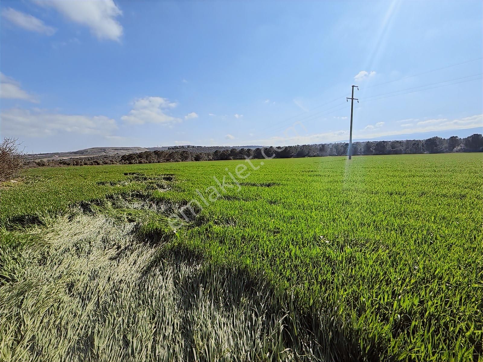 Expert'ten Bursa Başköy'de Satılık 9.400 M² Tarla - Görsel 2