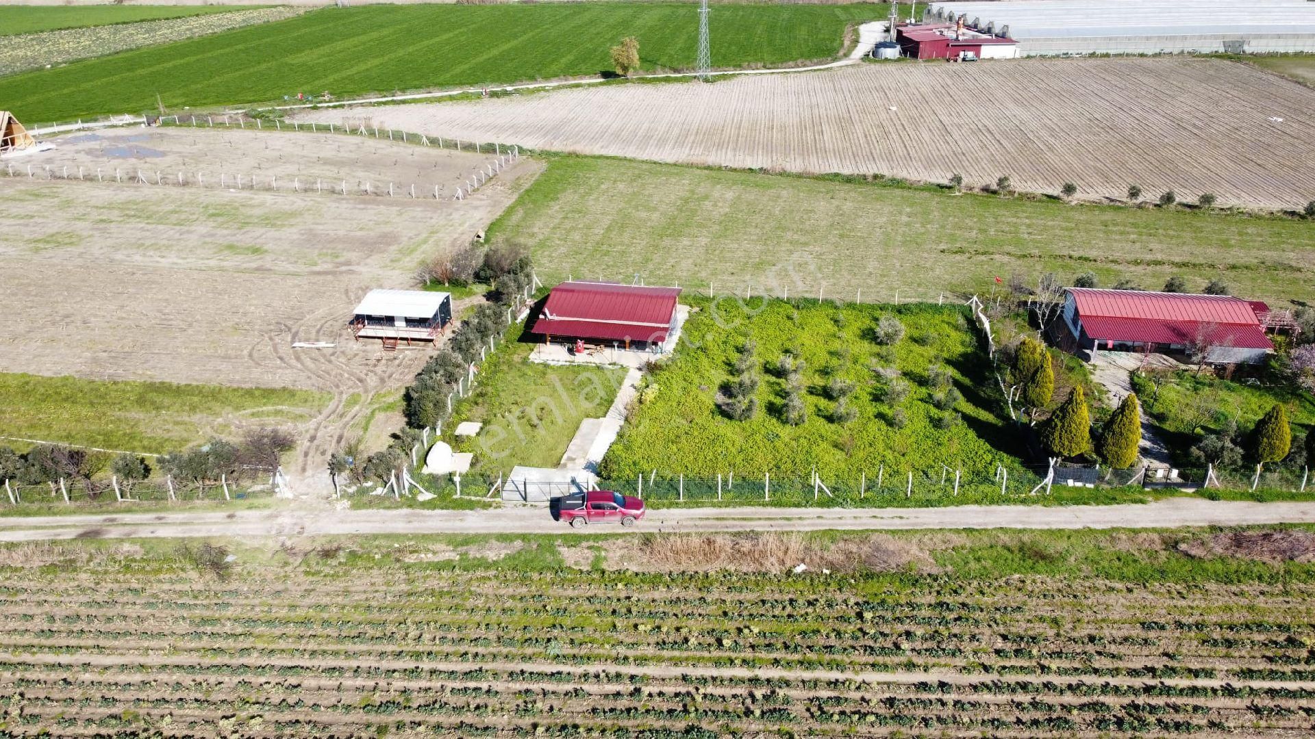 Torbalı Aslanlar Kaçırılmayacak Fırsat Hobi Bahçesi - Görsel 11