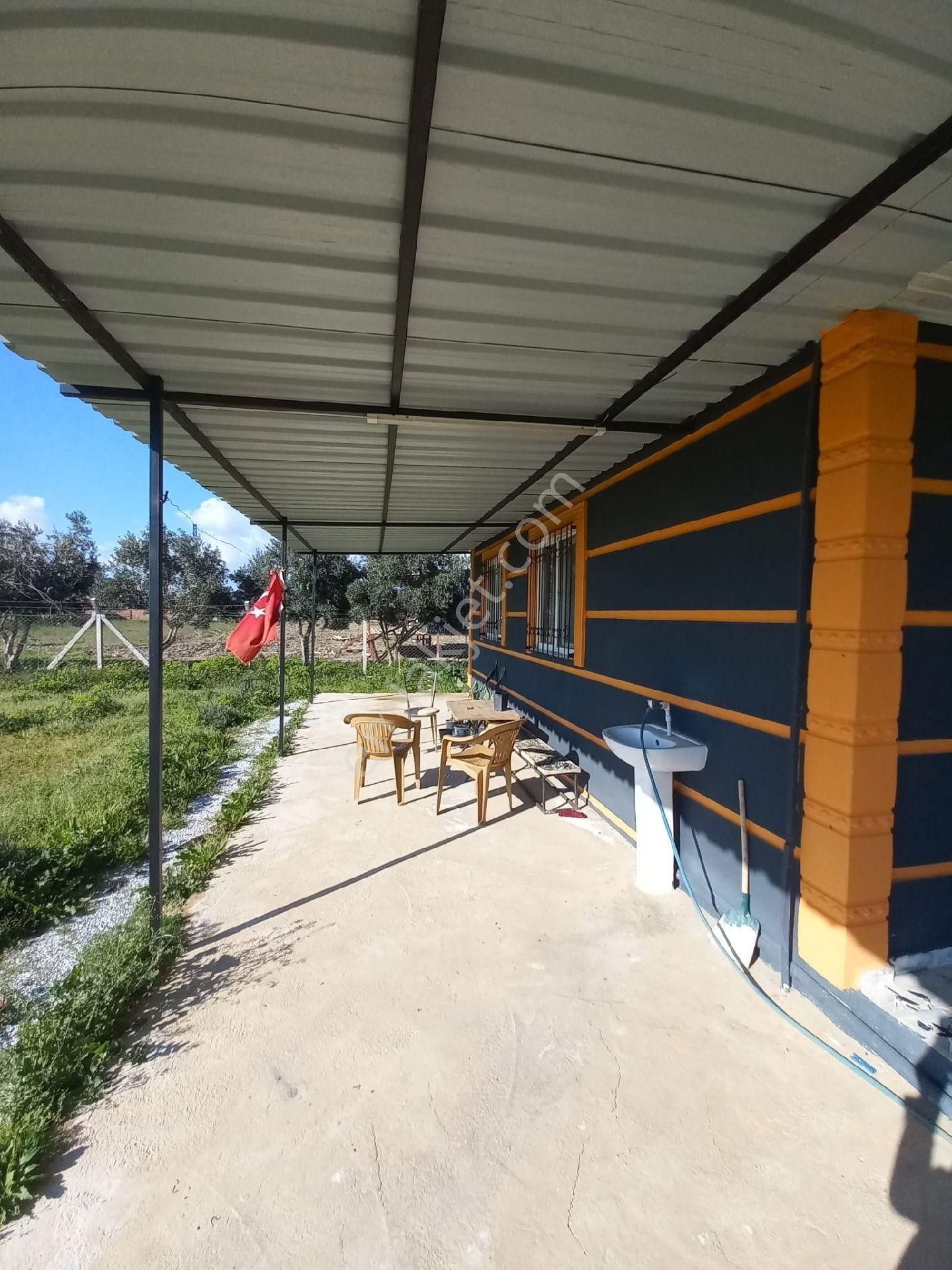 Torbalı Aslanlar Kaçırılmayacak Fırsat Hobi Bahçesi - Görsel 18