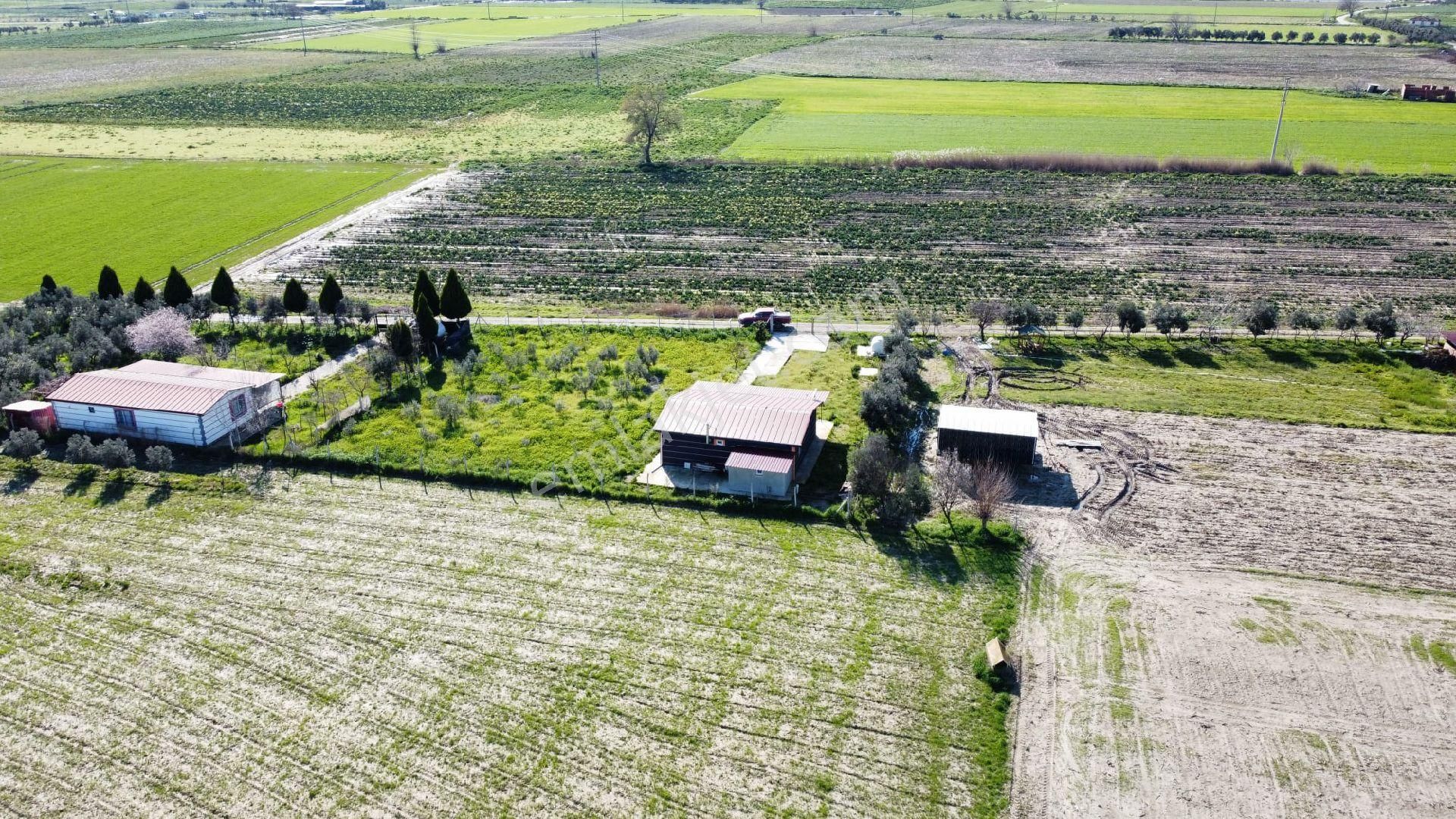 Torbalı Aslanlar Kaçırılmayacak Fırsat Hobi Bahçesi - Görsel 13