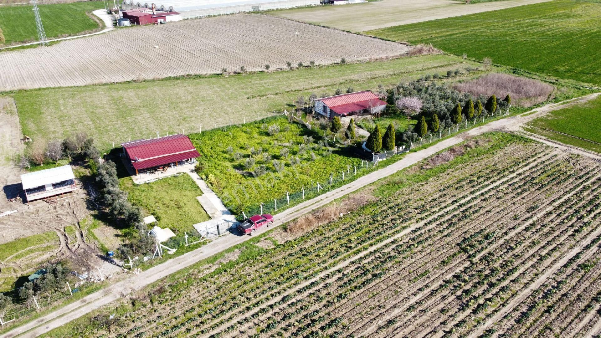 Torbalı Aslanlar Kaçırılmayacak Fırsat Hobi Bahçesi - Görsel 7