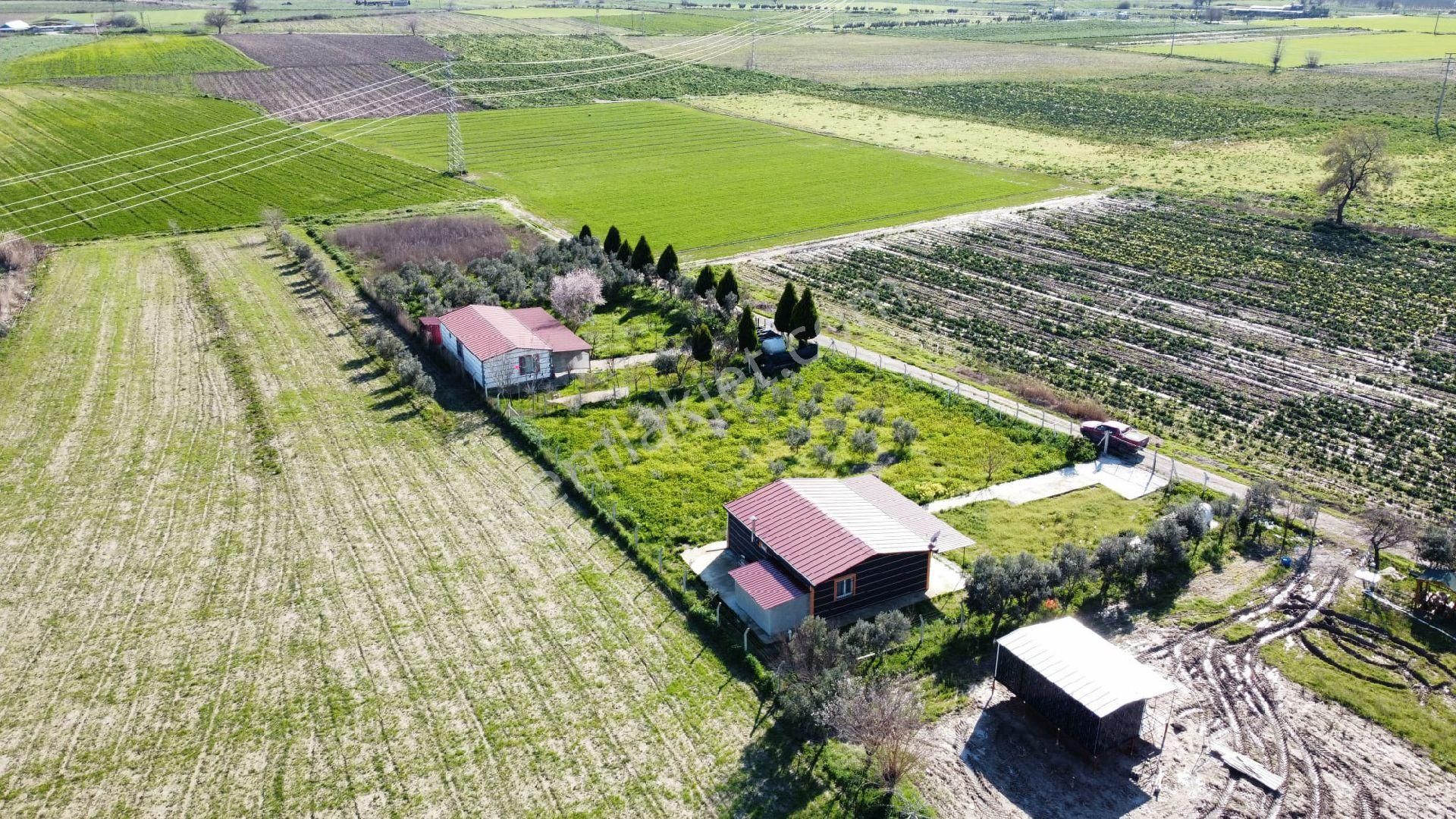 Torbalı Aslanlar Kaçırılmayacak Fırsat Hobi Bahçesi - Görsel 9