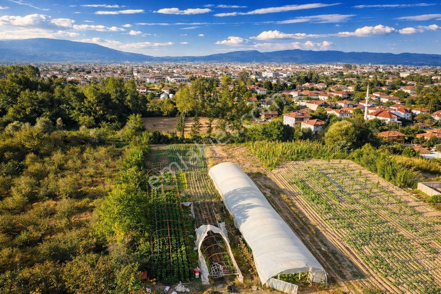 Öğretmen'den Darıcı Mahallesinde 599m3 Fırsat Villa İmarlı Arsa - Görsel 11