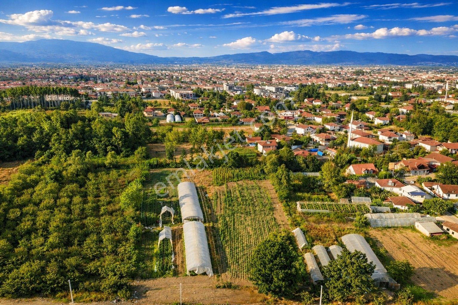 Öğretmen'den Darıcı Mahallesinde 599m3 Fırsat Villa İmarlı Arsa - Görsel 19