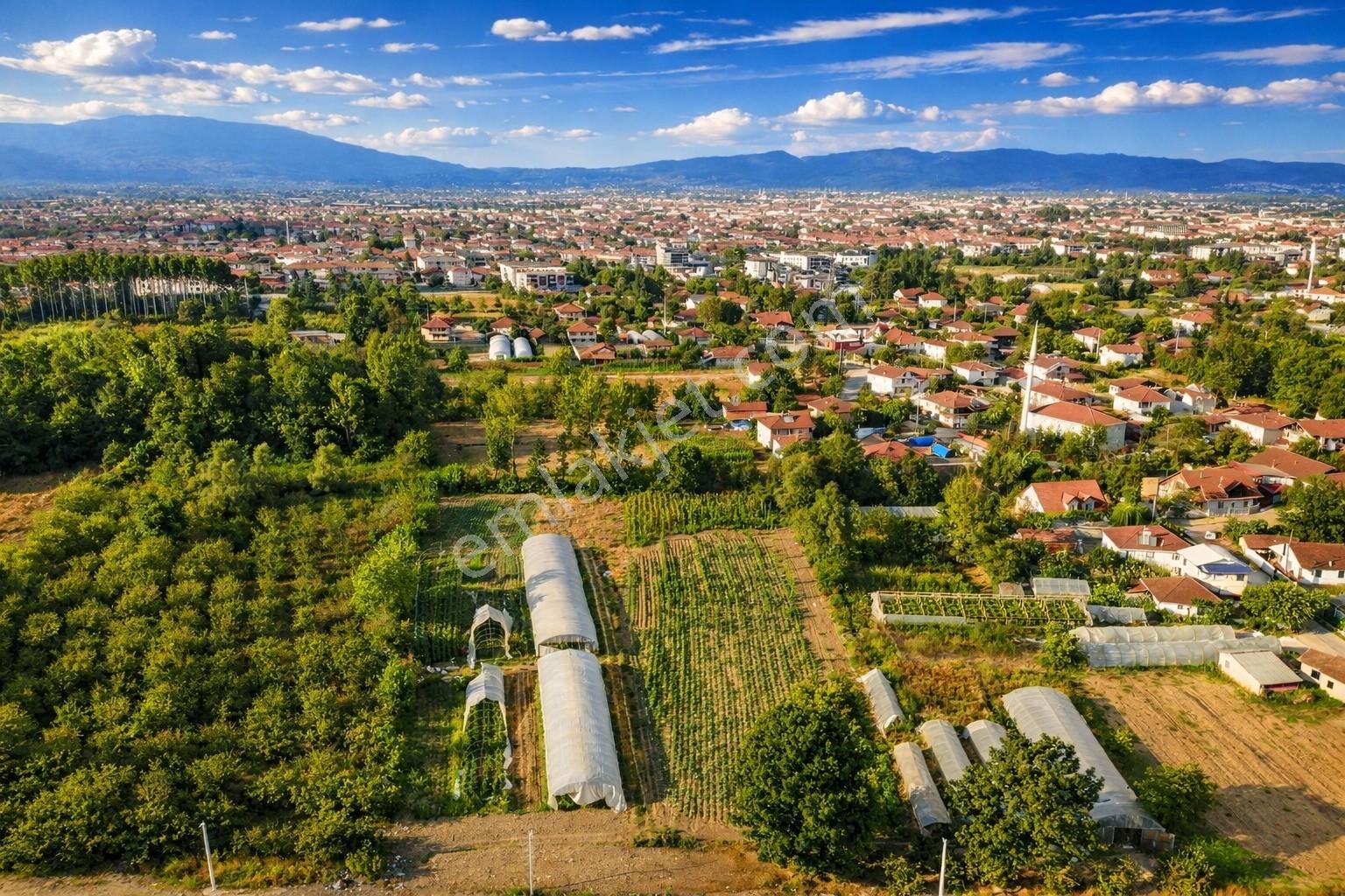 Öğretmen'den Darıcı Mahallesinde 599m3 Fırsat Villa İmarlı Arsa - Görsel 5