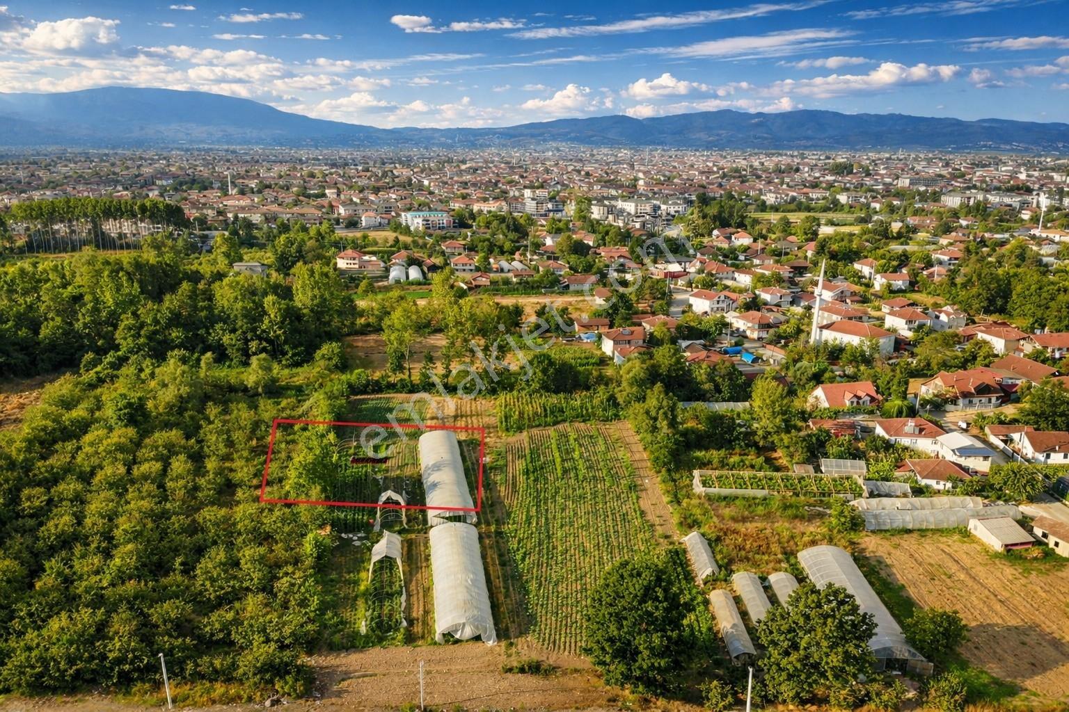 Öğretmen'den Darıcı Mahallesinde 599m3 Fırsat Villa İmarlı Arsa