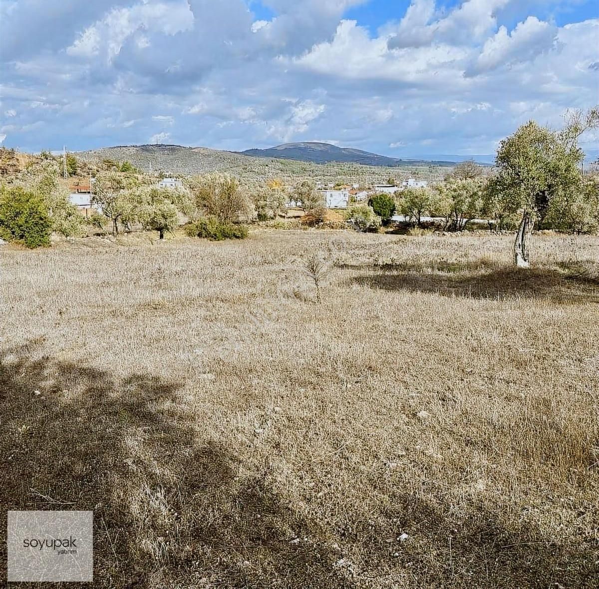 Denizli Çardak Söğütlü 133 Ada 53 Par 416m2 Tarla Köyiçi