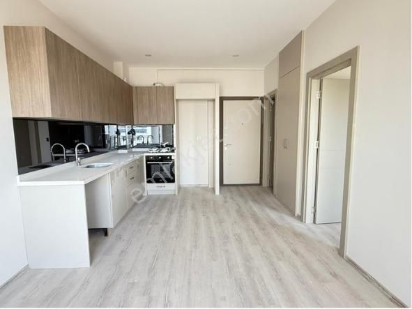 Altıntaş Akkavak Cd Üzeri Havuzlu Boş 1+1 Kiralık Daire - Görsel 4