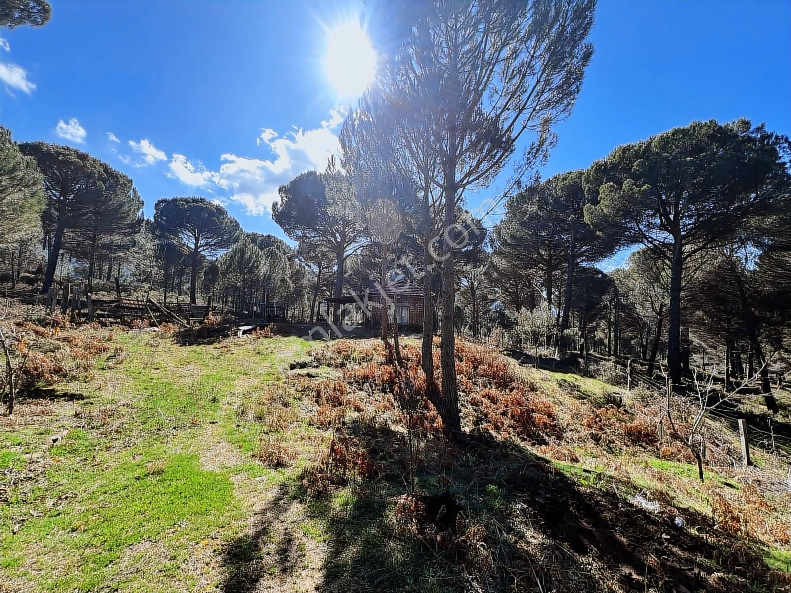 Bergama Kozak Göbeller Mahallesinde Satılık 6.600m2 Fıstıklık - Görsel 28