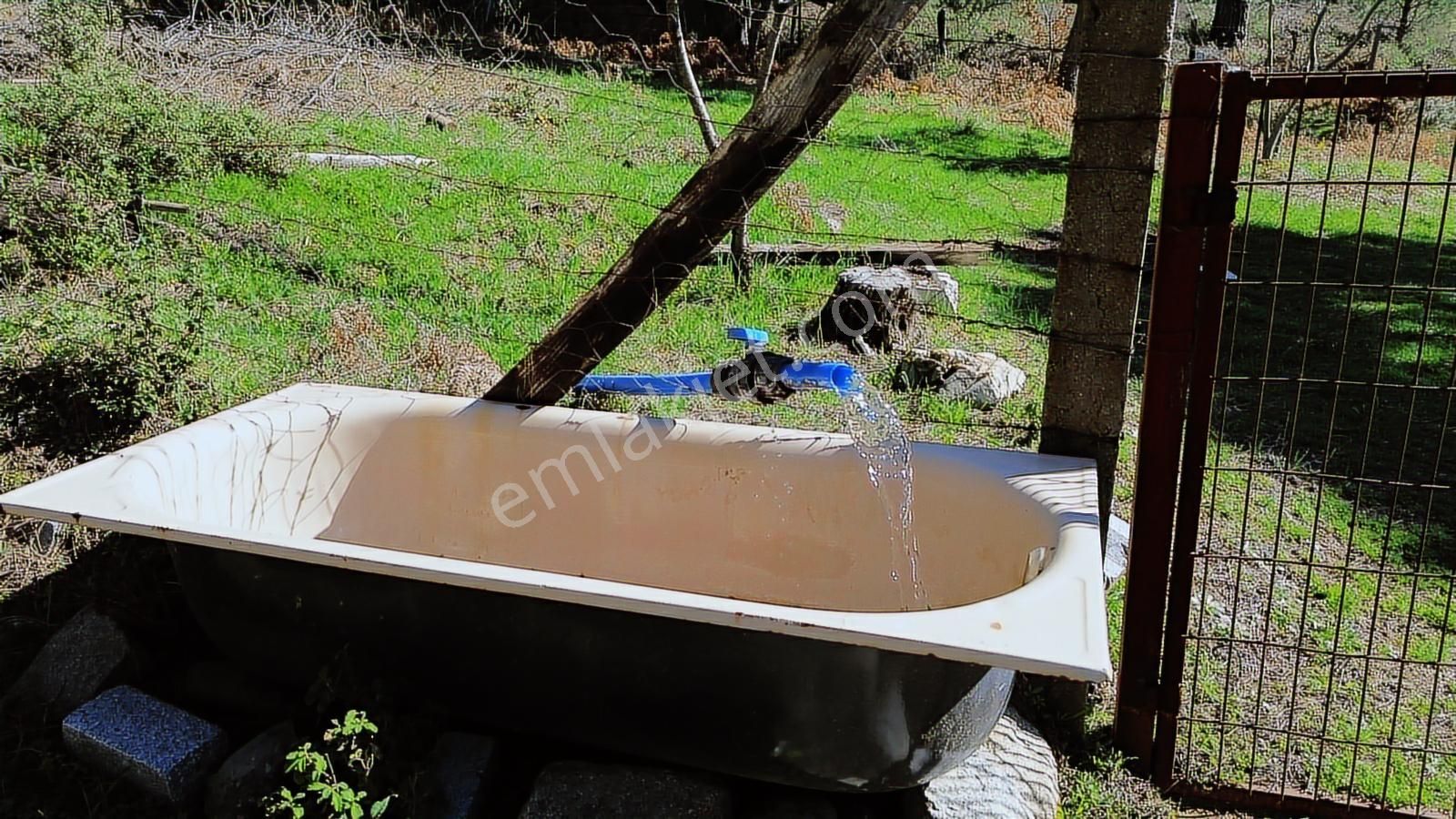 Bergama Kozak Göbeller Mahallesinde Satılık 6.600m2 Fıstıklık - Görsel 27