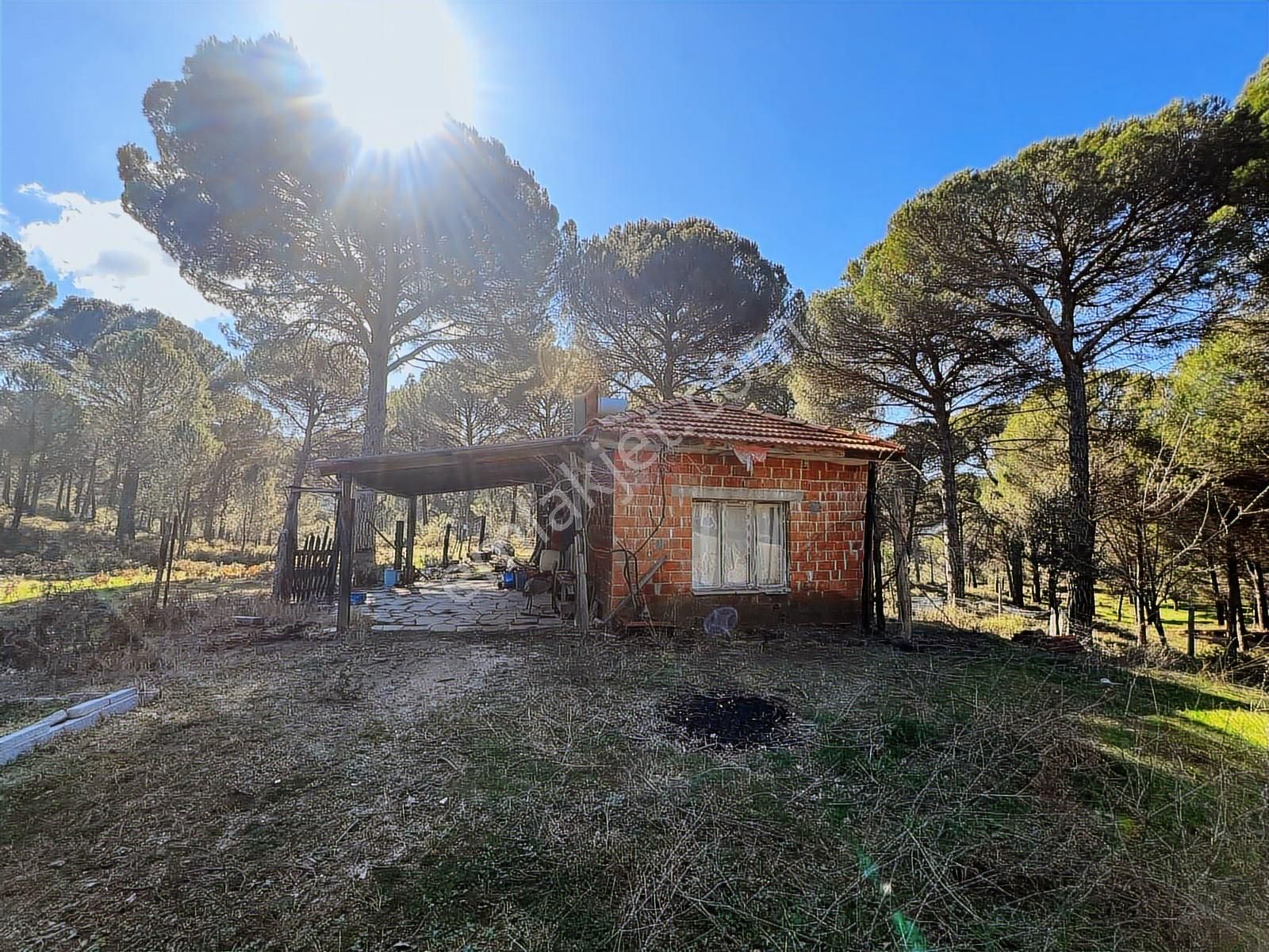 Bergama Kozak Göbeller Mahallesinde Satılık 6.600m2 Fıstıklık - Görsel 33