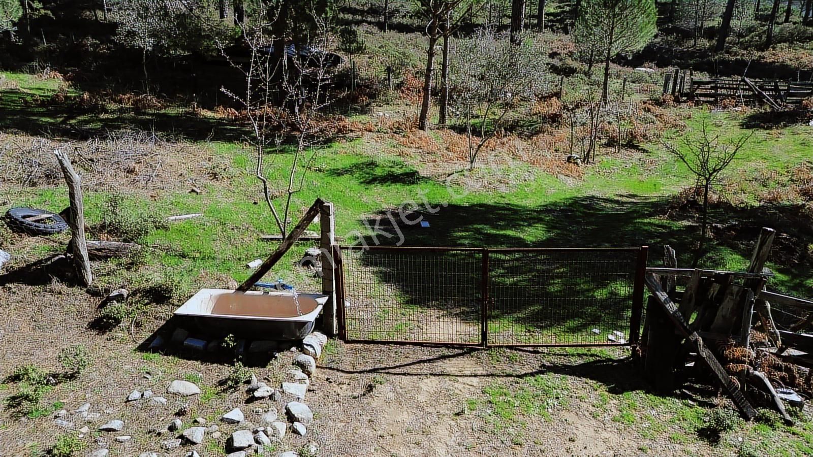 Bergama Kozak Göbeller Mahallesinde Satılık 6.600m2 Fıstıklık - Görsel 20