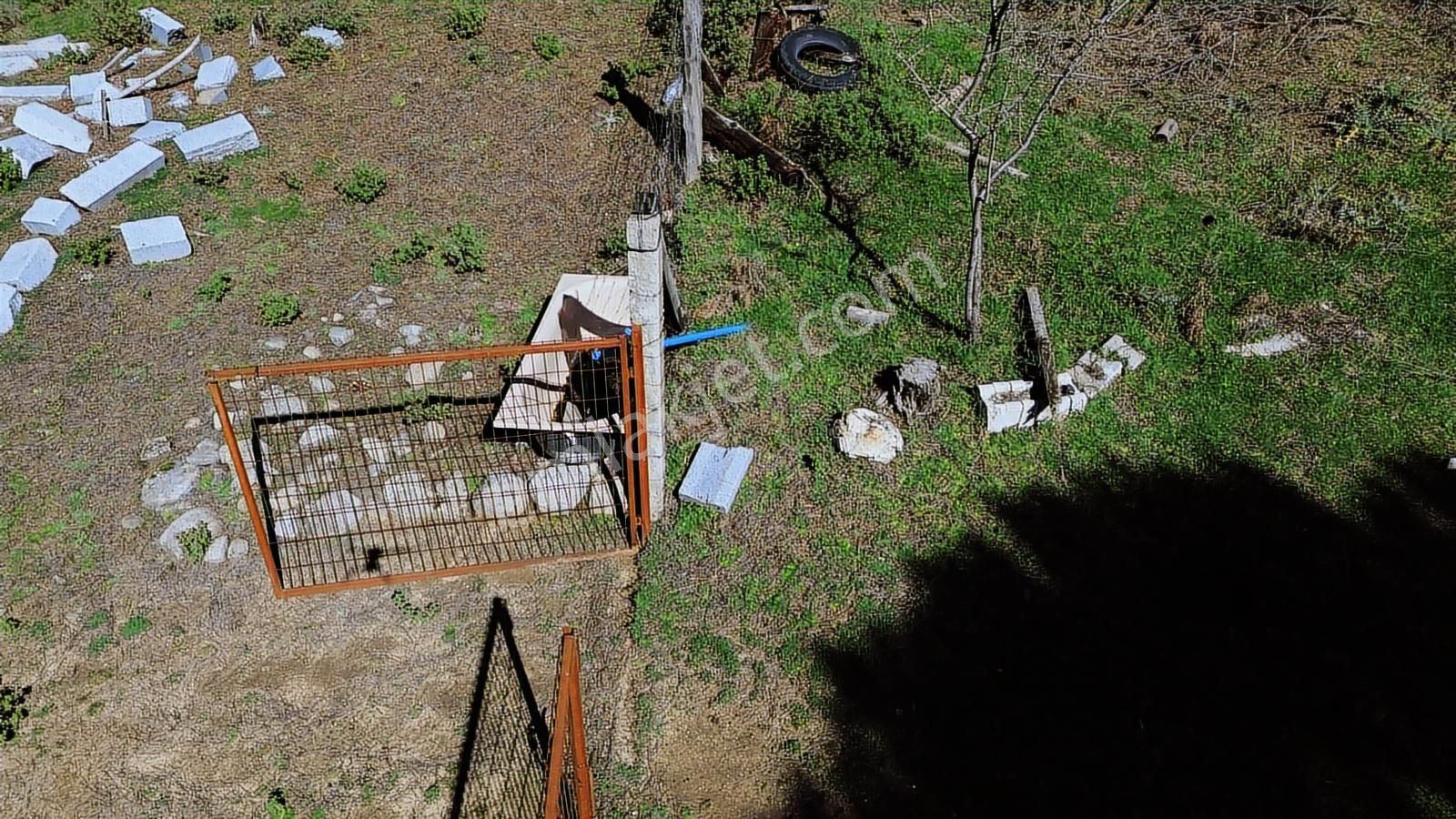 Bergama Kozak Göbeller Mahallesinde Satılık 6.600m2 Fıstıklık - Görsel 25