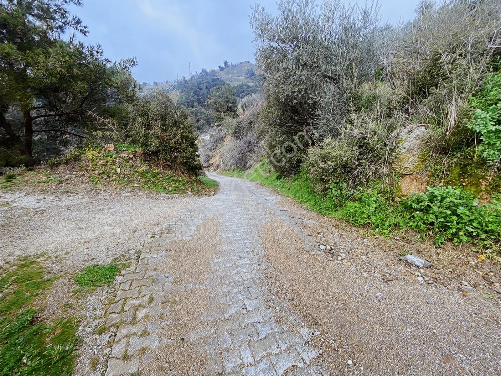 Aydın Efeler Yukarı Balıkköy De Satılık 800 M2 Arsa - Görsel 10