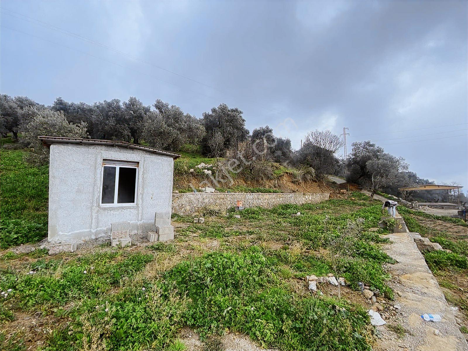 Aydın Efeler Yukarı Balıkköy De Satılık 800 M2 Arsa - Görsel 3