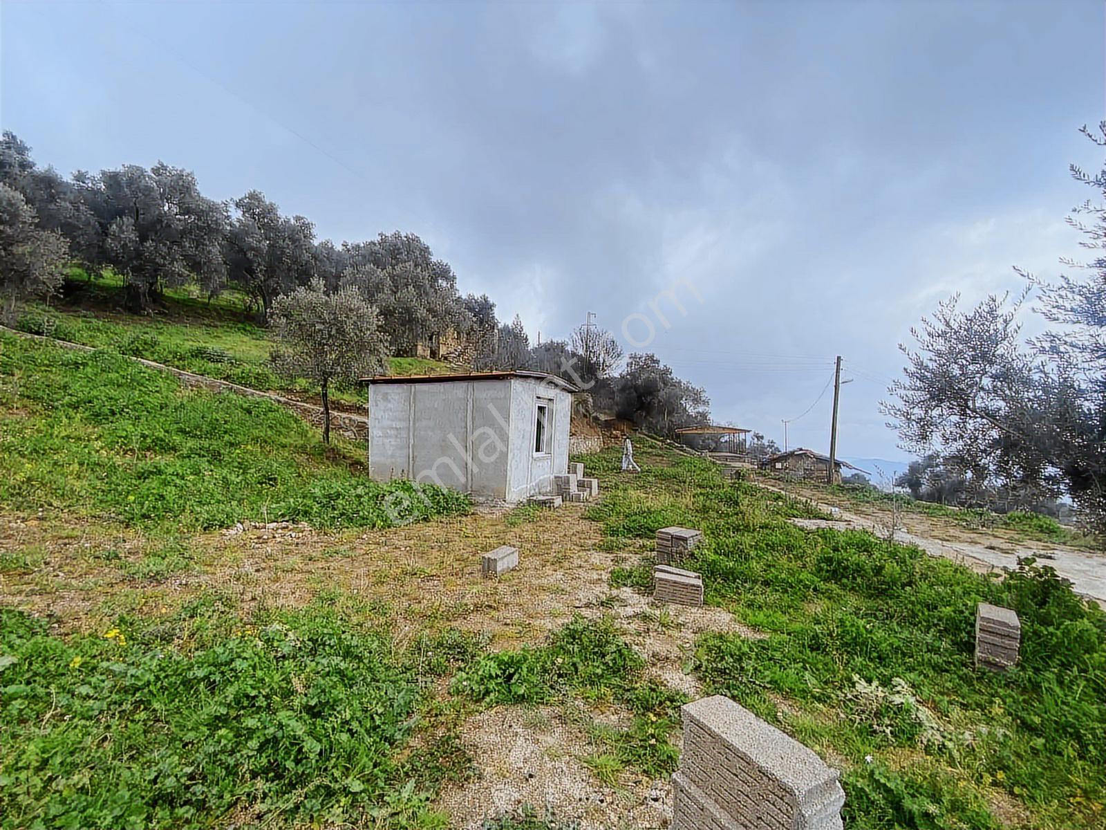 Aydın Efeler Yukarı Balıkköy De Satılık 800 M2 Arsa - Görsel 15