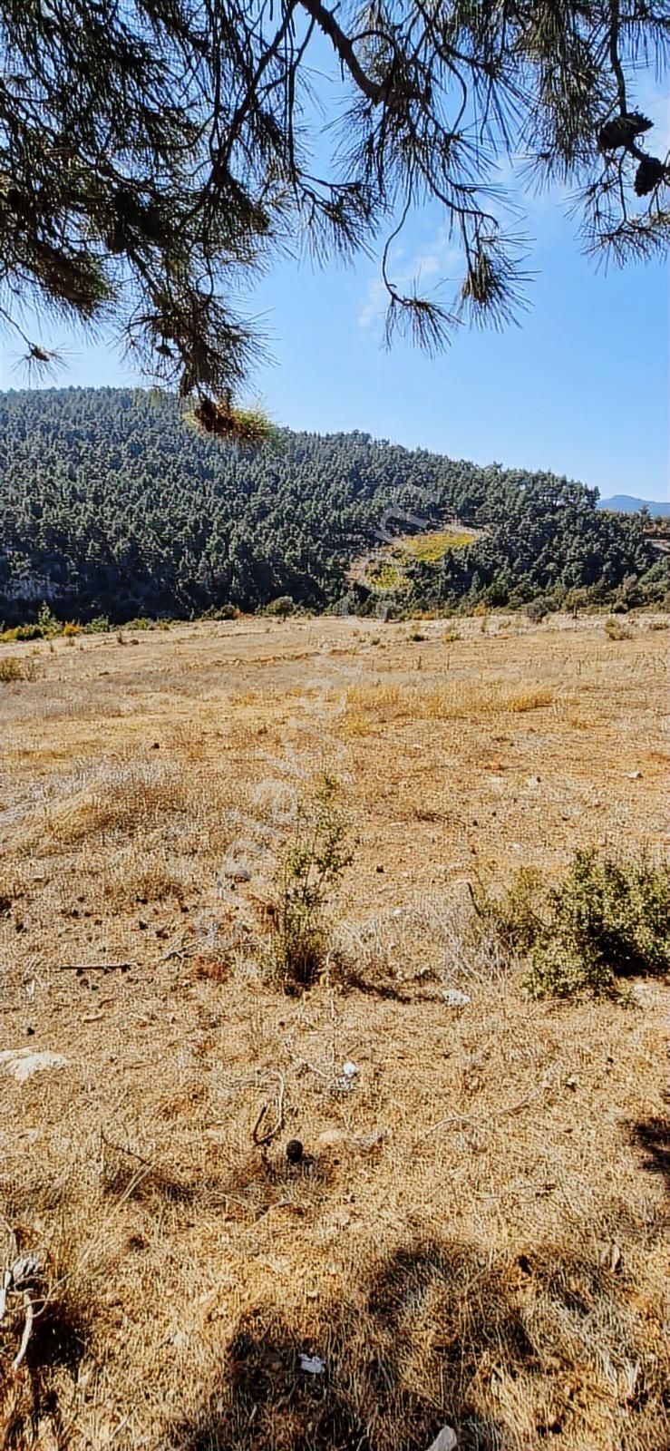 Mersin Çamlı Yaylada Yatırımlık İlerde İmar Gelmesi Beklleniyor - Görsel 2