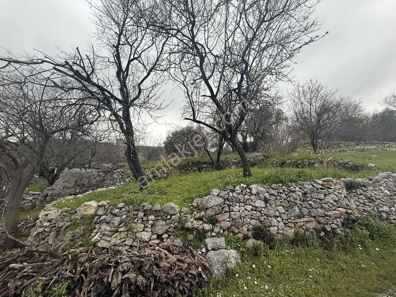 Alanya Orhanköy Mahallesinde 314m2 Yola Sıfır Satılık Tarla - Görsel 21