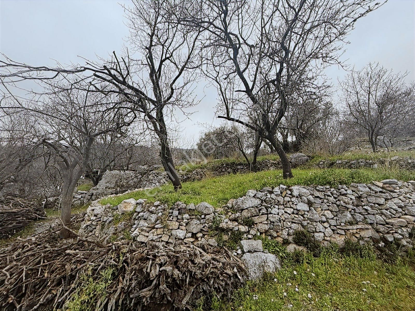 Alanya Orhanköy Mahallesinde 314m2 Yola Sıfır Satılık Tarla - Görsel 5