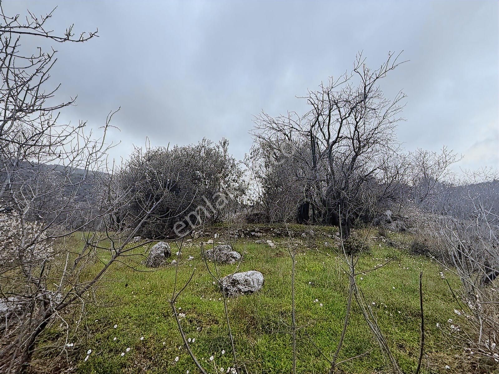 Alanya Orhanköy Mahallesinde 314m2 Yola Sıfır Satılık Tarla - Görsel 22