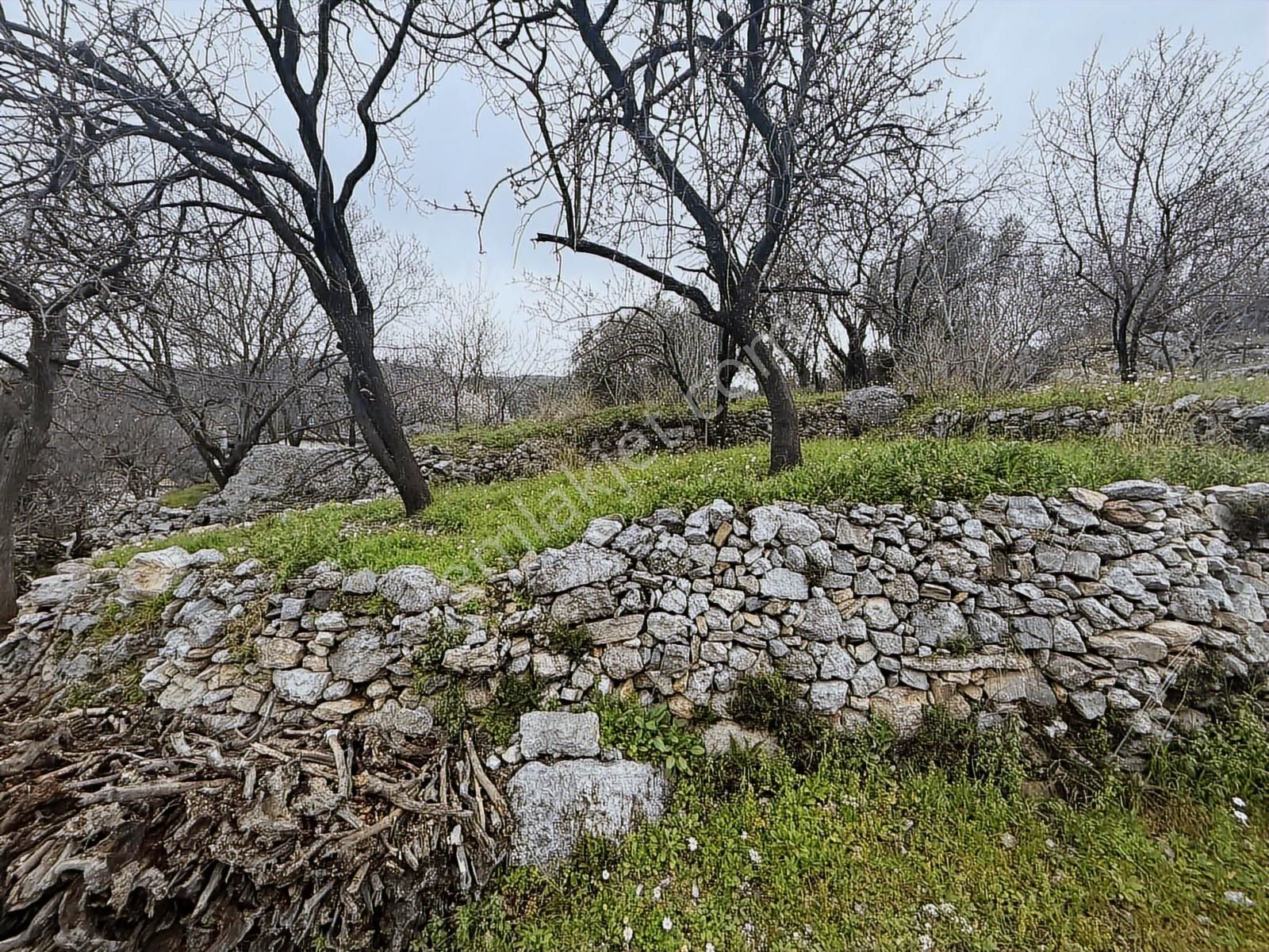 Alanya Orhanköy Mahallesinde 314m2 Yola Sıfır Satılık Tarla - Görsel 8