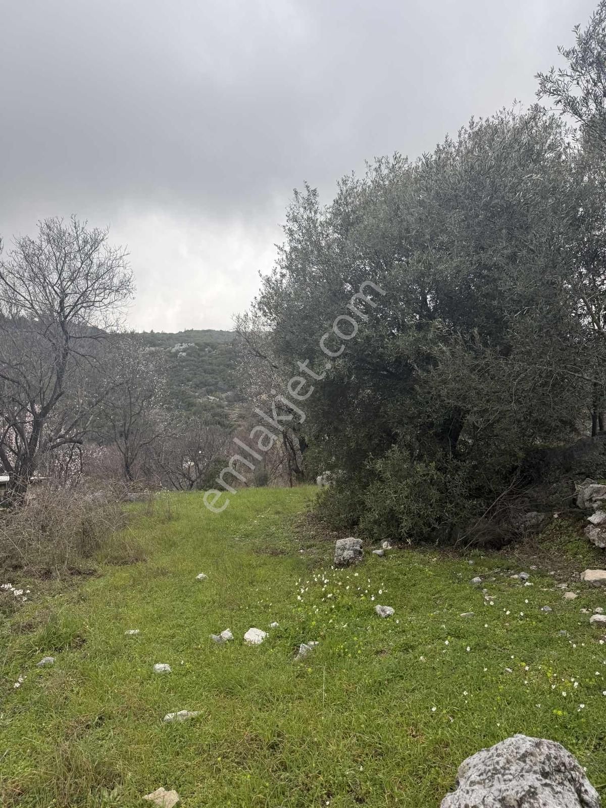 Alanya Orhanköy Mahallesinde 314m2 Yola Sıfır Satılık Tarla - Görsel 18