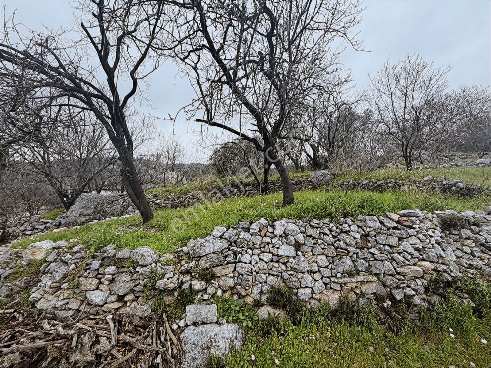 Alanya Orhanköy Mahallesinde 314m2 Yola Sıfır Satılık Tarla - Görsel 13
