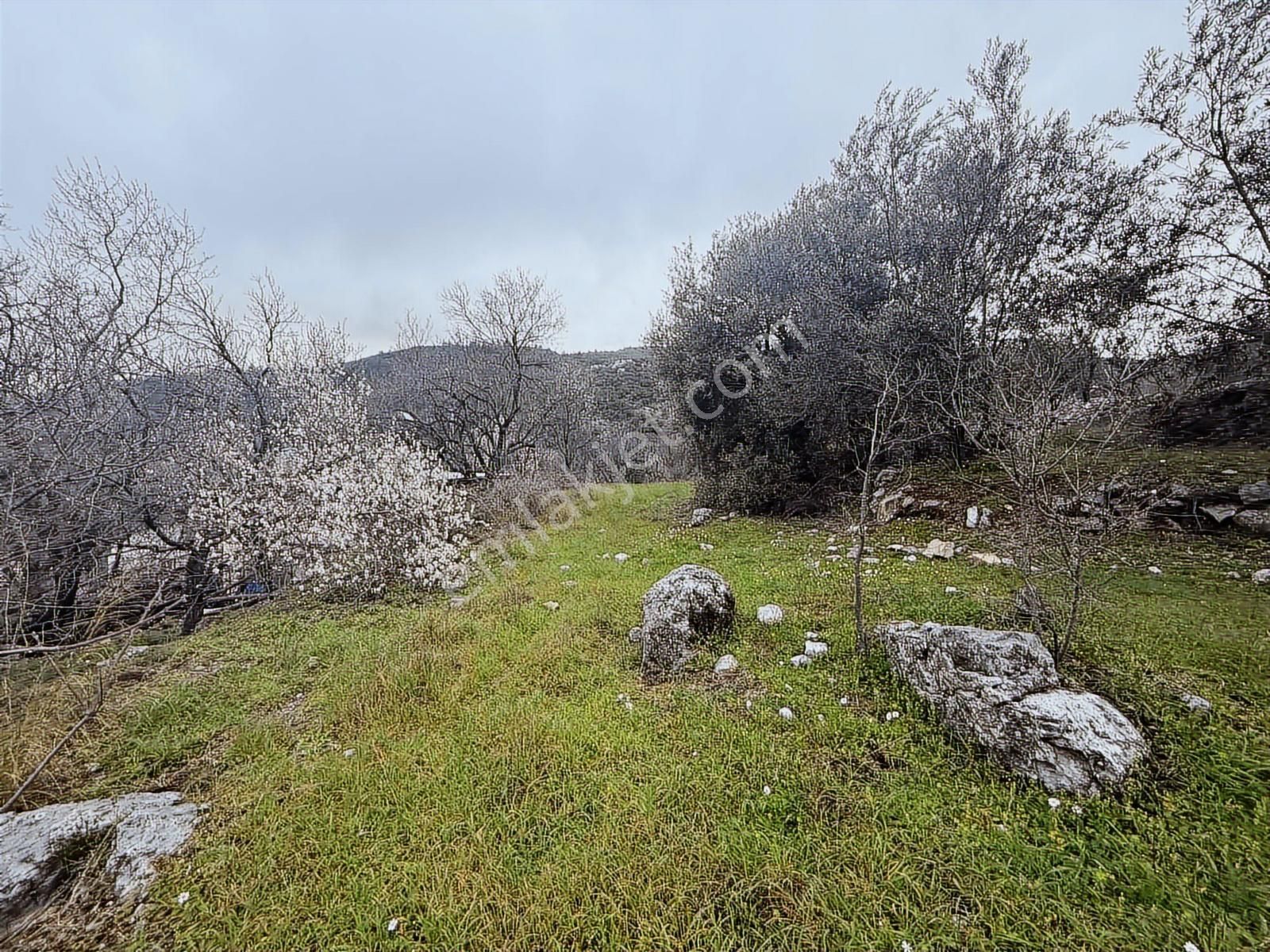 Alanya Orhanköy Mahallesinde 314m2 Yola Sıfır Satılık Tarla - Görsel 23