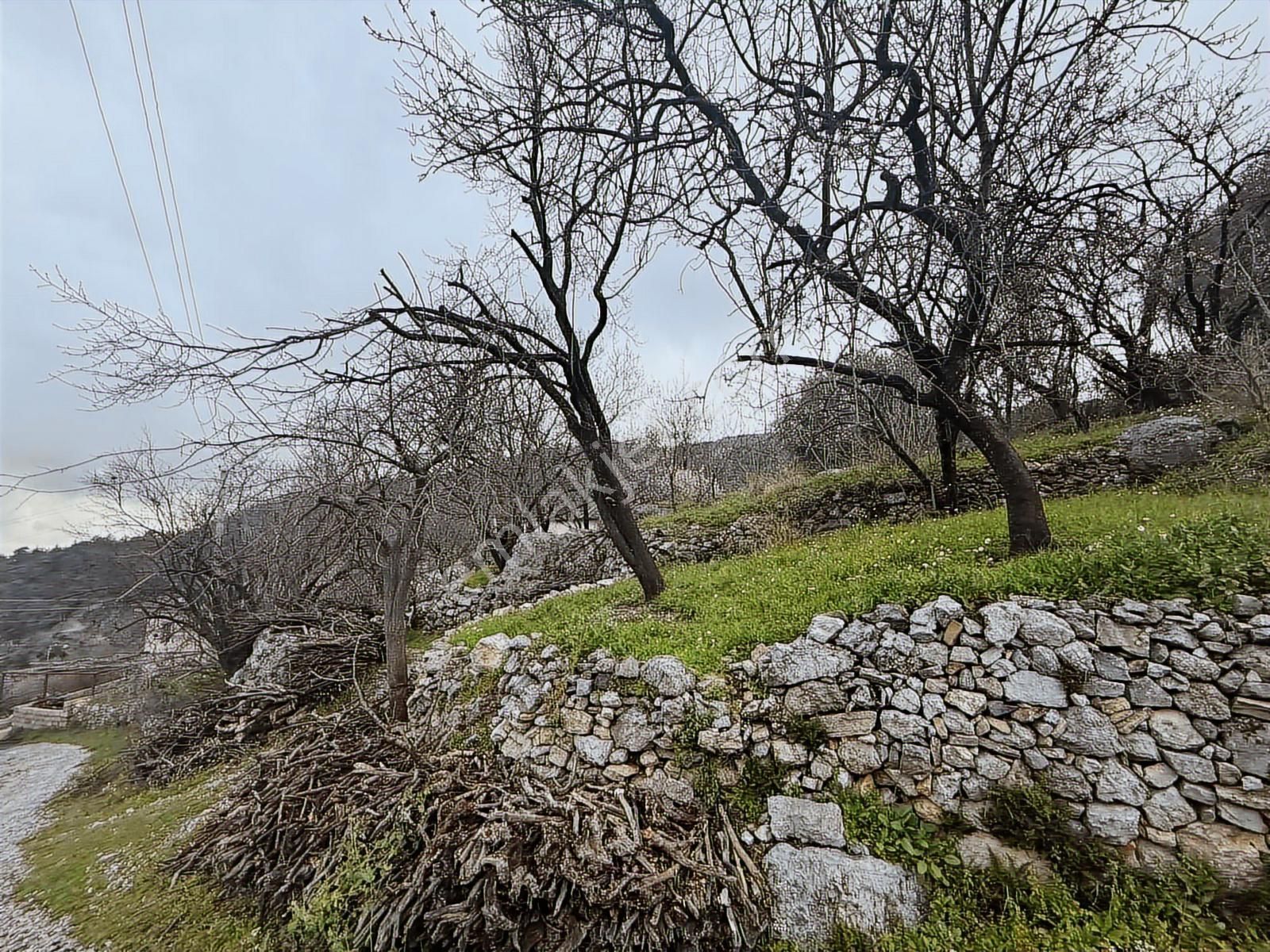 Alanya Orhanköy Mahallesinde 314m2 Yola Sıfır Satılık Tarla - Görsel 6