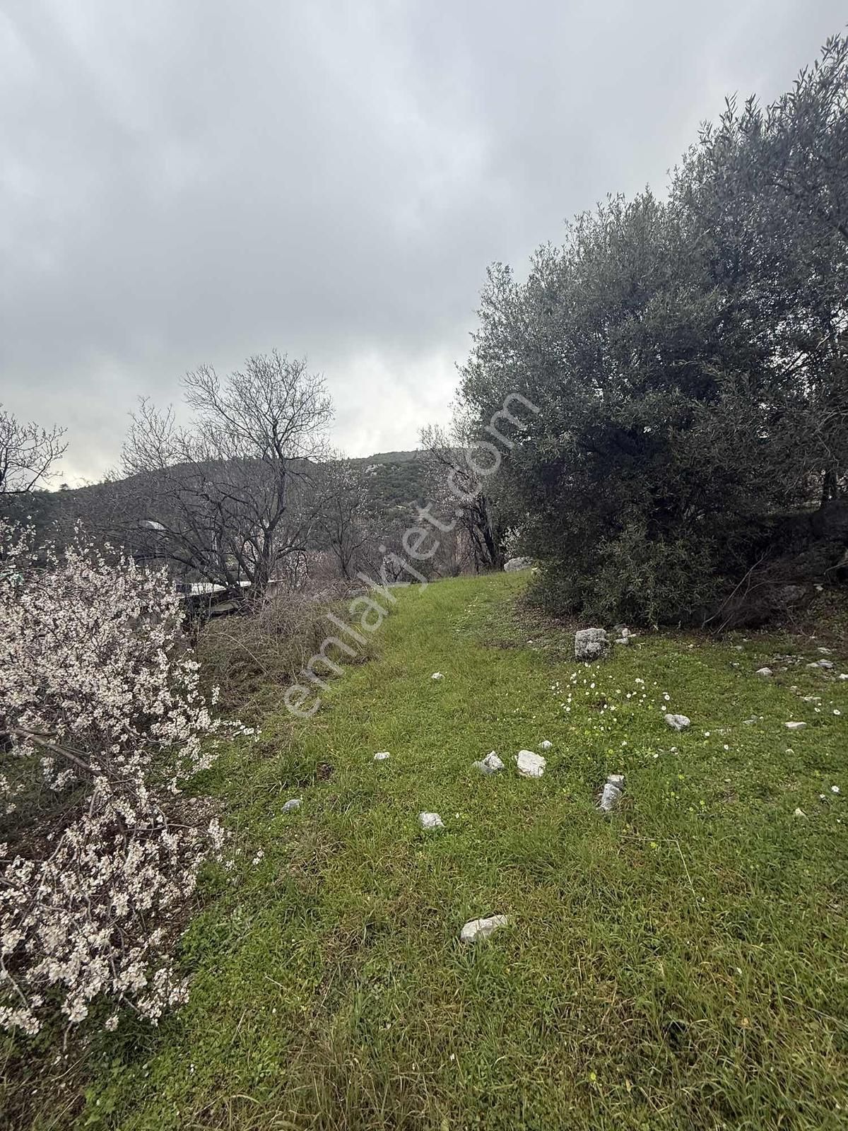 Alanya Orhanköy Mahallesinde 314m2 Yola Sıfır Satılık Tarla - Görsel 28