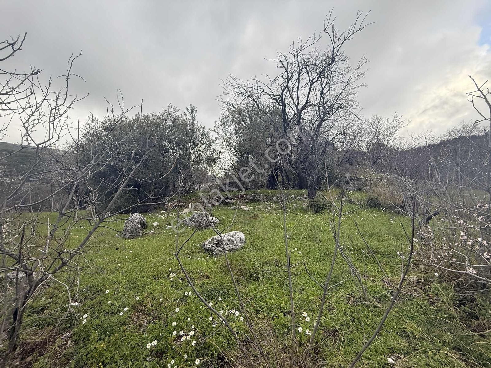 Alanya Orhanköy Mahallesinde 314m2 Yola Sıfır Satılık Tarla - Görsel 19