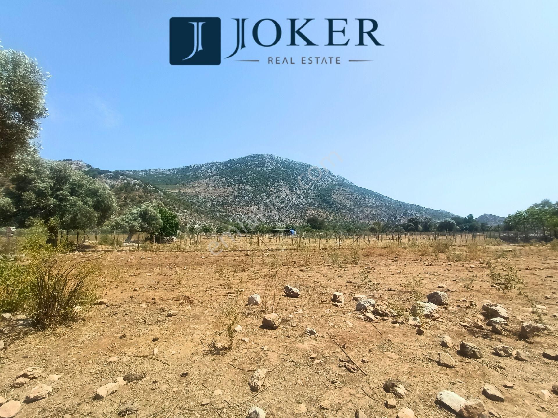Joker: Serçe Limanı Yolu Üzerinde Düzlük Satılık Tarla - Görsel 3