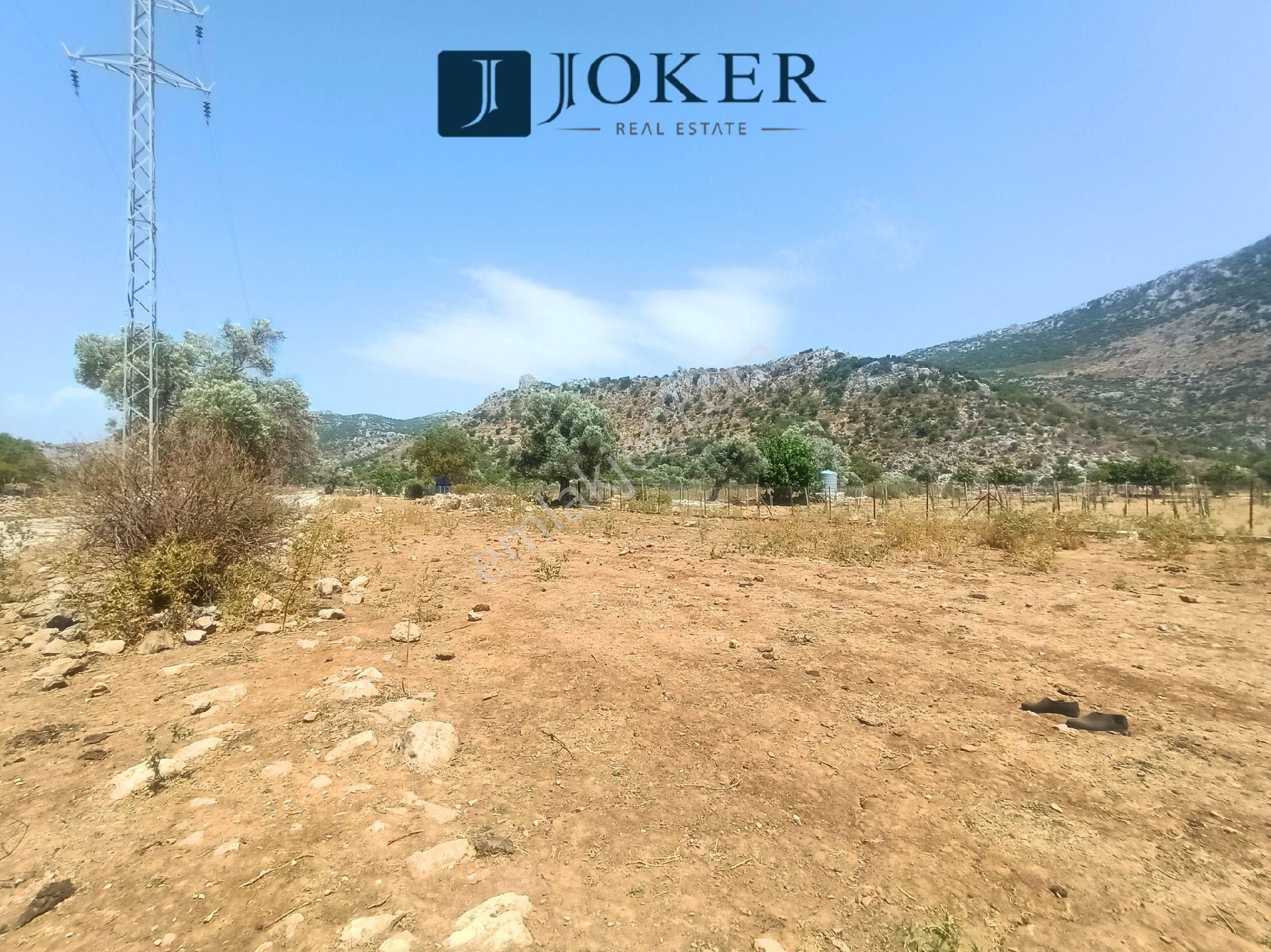 Joker: Serçe Limanı Yolu Üzerinde Düzlük Satılık Tarla - Görsel 10