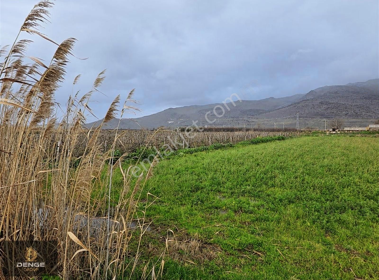 Yanikkoyde Buruncuk Köprüsünün Dibinde Mukemmel Araziler - Görsel 7