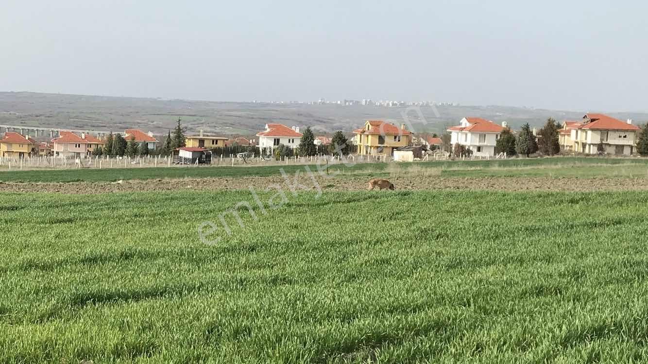 Silivri Balabanda Tarla Fiyatına İmarlı Arsa - Görsel 2