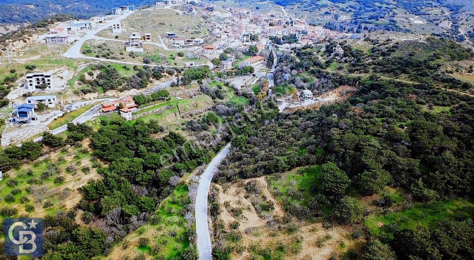 Aliağa Aşağı Şakranda Yola Sıfır 5.700 M² Zeytinlik - Görsel 3