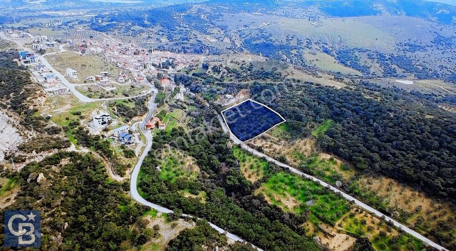 Aliağa Aşağı Şakranda Yola Sıfır 5.700 M² Zeytinlik - Görsel 10