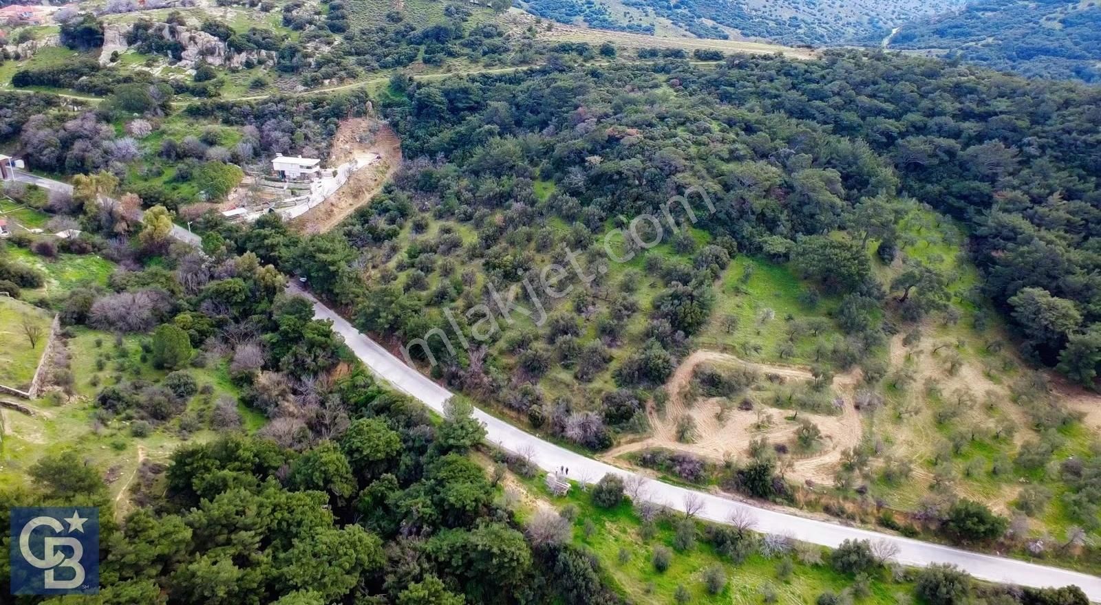 Aliağa Aşağı Şakranda Yola Sıfır 5.700 M² Zeytinlik - Görsel 7