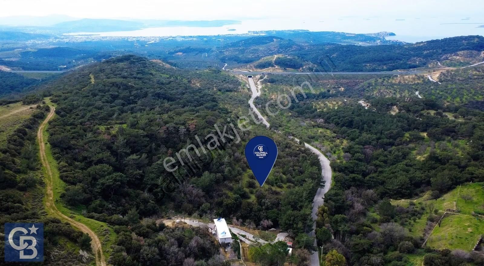 Aliağa Aşağı Şakranda Yola Sıfır 5.700 M² Zeytinlik