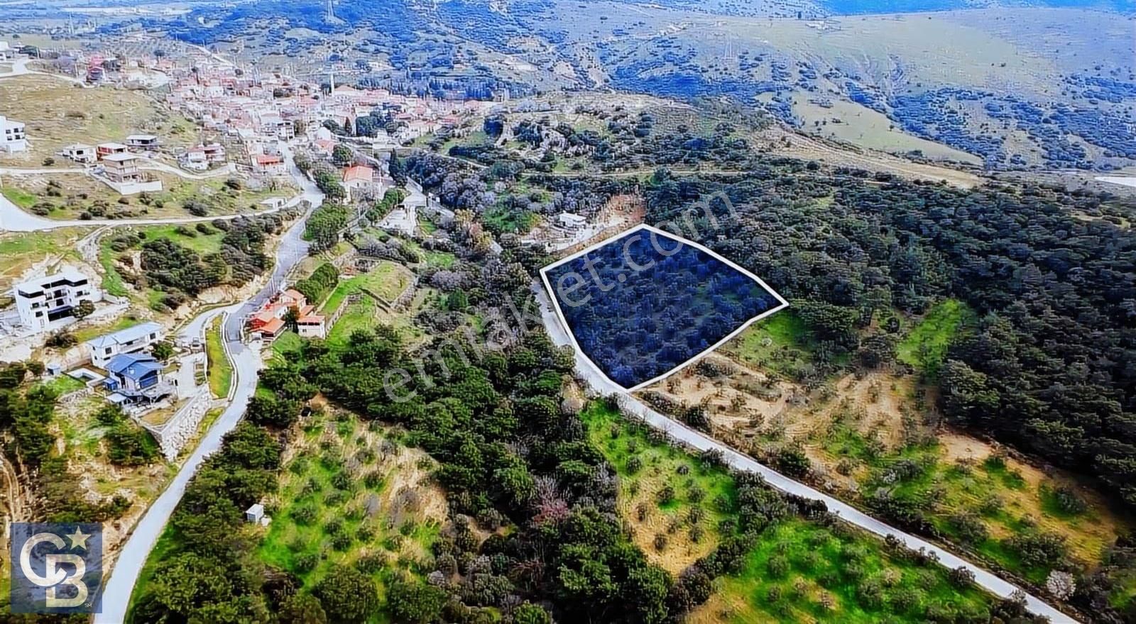 Aliağa Aşağı Şakranda Yola Sıfır 5.700 M² Zeytinlik - Görsel 6