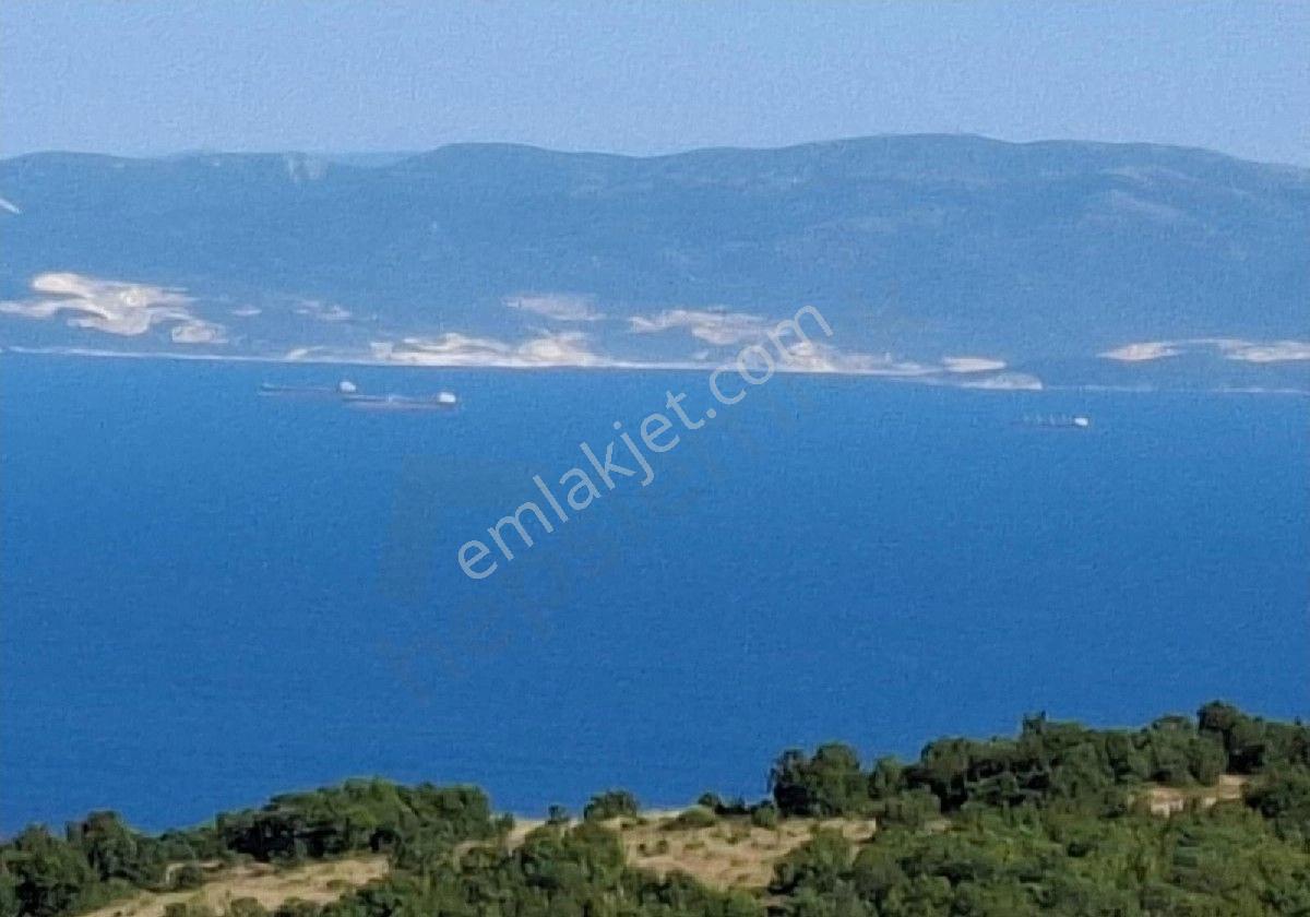 Tekirdağ Süleymanpaşa Yeniköy De Ormana Sınır Deniz Manzaralı 17 Dönüm Satılık Tarla - Görsel 15