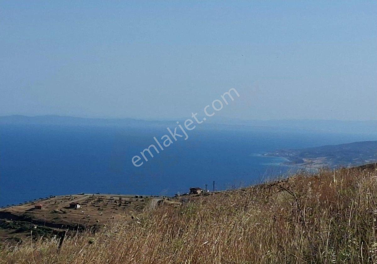 Tekirdağ Süleymanpaşa Yeniköy De Ormana Sınır Deniz Manzaralı 17 Dönüm Satılık Tarla - Görsel 23