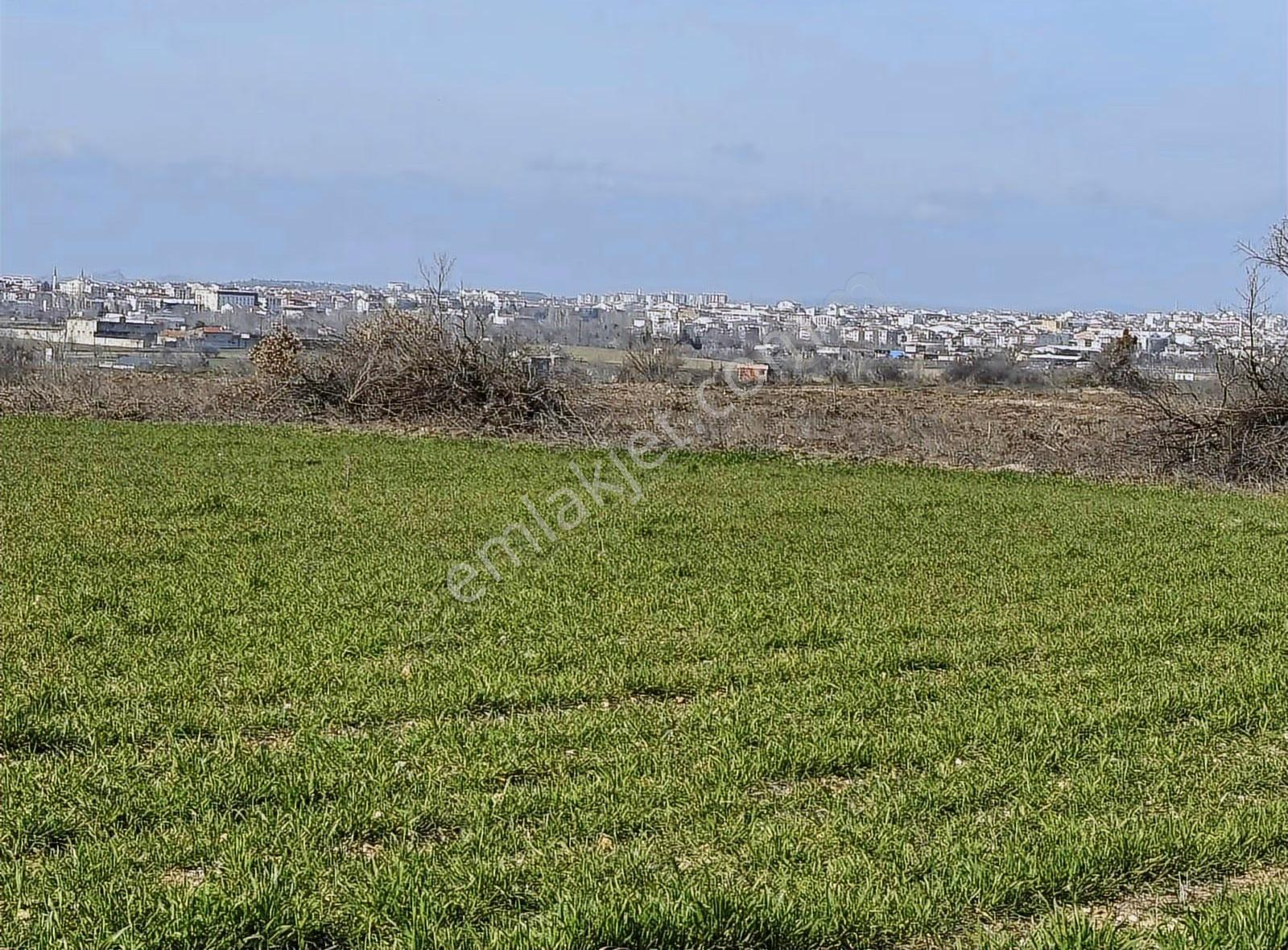 Güneş Emlaktan Karacaibrahim Tapulu 3600 M2 Arsa Değerinde Tarla - Görsel 2