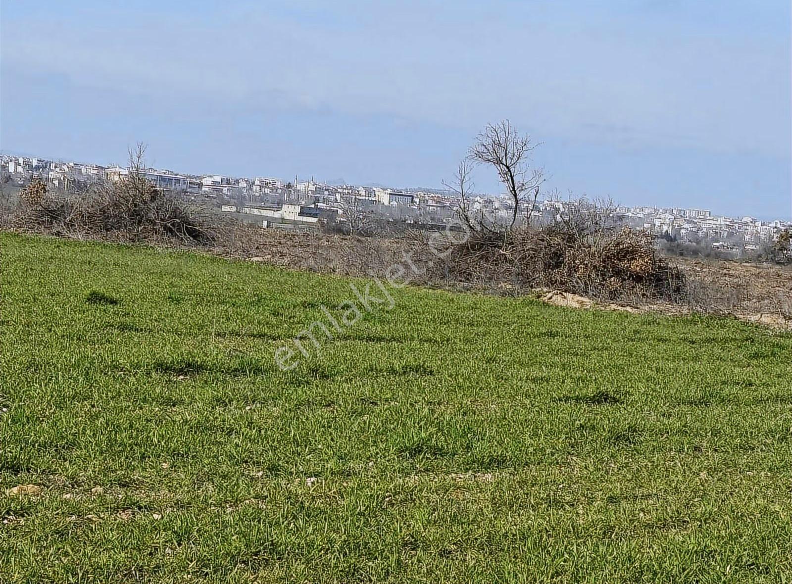 Güneş Emlaktan Karacaibrahim Tapulu 3600 M2 Arsa Değerinde Tarla - Görsel 3